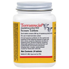 Terramicina 250 mg compresse
