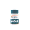 Gasex 100 compresse